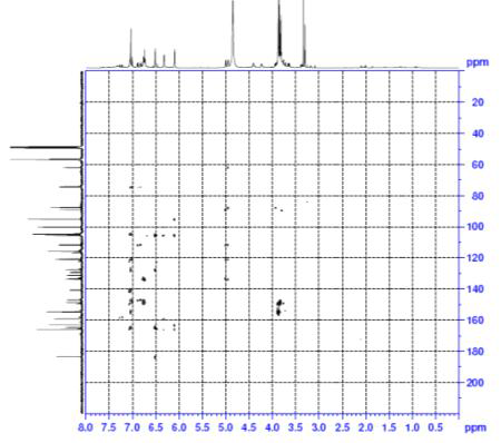 HMBC spectrum of compound 3