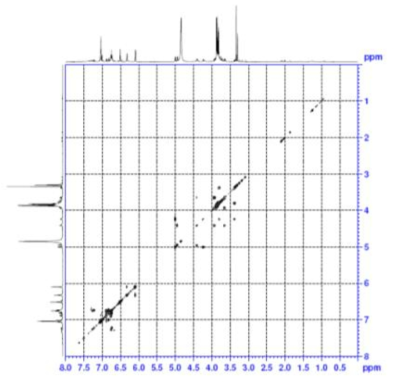 COSY spectrum of compound 3