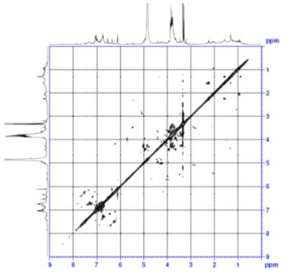 COSY spectrum of compound 4