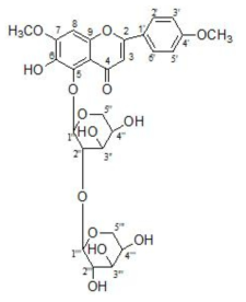 Structure of compound 6