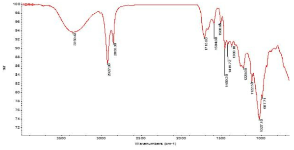 IR spectrum of compound 6