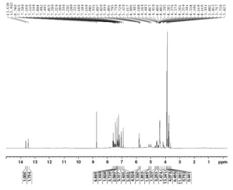 1H NMR spectrum of compound 6