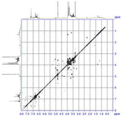 COSY spectrum of compound 7