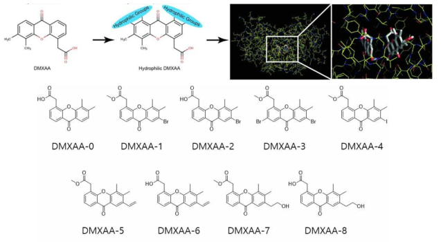 DMXAA유도체의 설계
