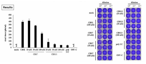 3 배수 희석한 CBS-7, CBS-13 면역활성 RNA의 항바이러스 효능을 (A) 바이러스 역가 측정 및 (B) plaque assay로 확인. Mock (no virus), CBS1(negative control RNA), polyI:C (positive control), OSV-C (oseltavimir-C, 타미플루)