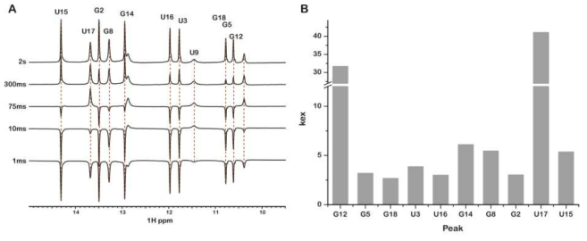 CBS-4의 NMR 실험. (A) free CBS-4의 water magnetization transfer 실험 1D 스펙트럼. (B) free CBS-4의 kex