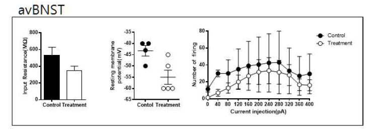 avBNST의 내재적 흥분성