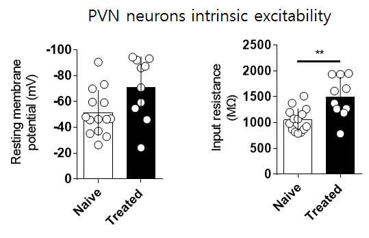 PVN 신경세포의 내재적 흥분성
