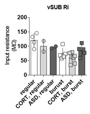 스트레스와 vSubiculum 신경세포의 input resistance