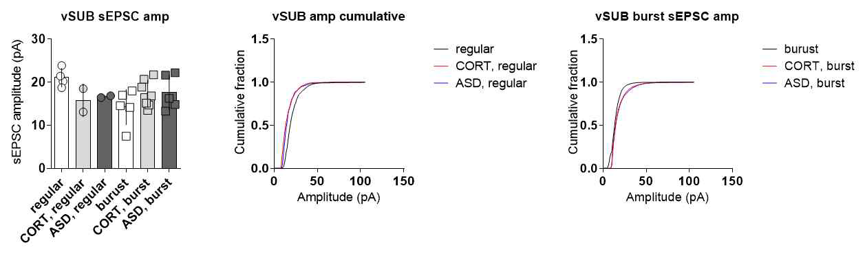 스트레스와 vSubiculum 신경세포의 sEPSC의 amplitude