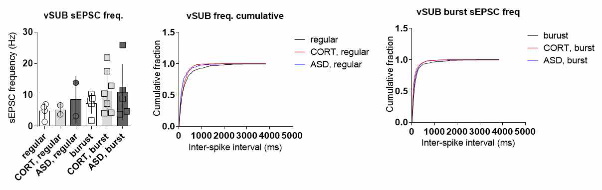 스트레스와 vSubiculum 신경세포의 sEPSC frequency