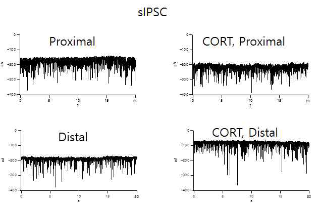 스트레스와 vSubiculum 신경세포의 sIPSC