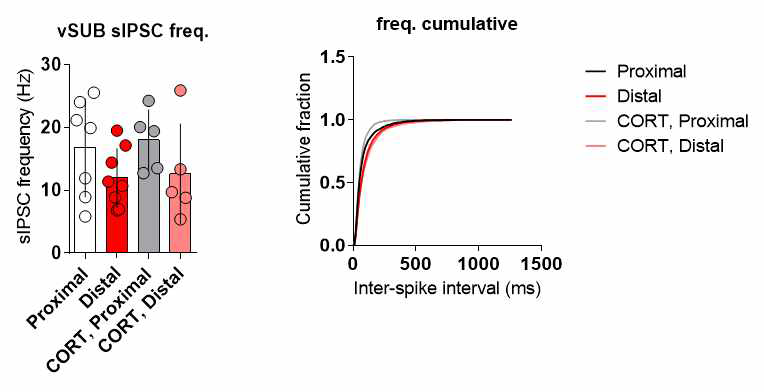 스트레스와 vSubiculum 신경세포의 sIPSC frequency