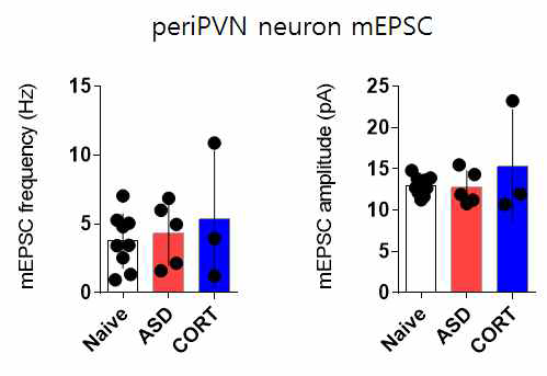 스트레스와 periPVN 신경세포의 mEPSC