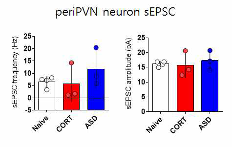 스트레스와 periPVN 신경세포의 sEPSC