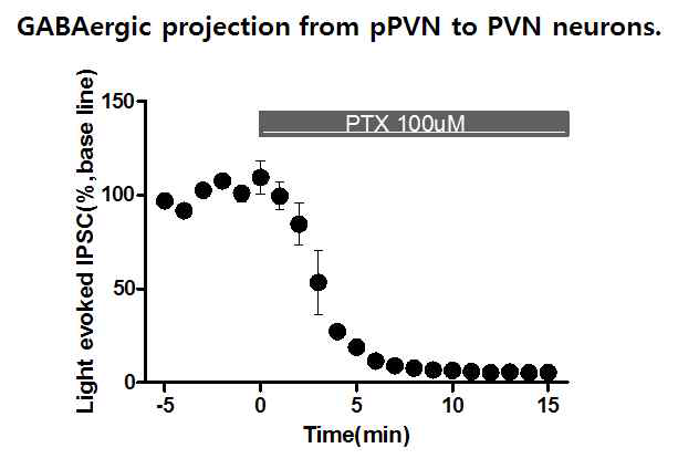 periPVN에서 PVN으로 억제성 GABAergic 시냅스 전달