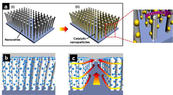 (a) 촉매 담지를 통한 다차원 나노구조 촉매 어레이 모식도, 금속산화물 나노구조 패턴화를 통한 채널 형성 (b) 전, (c) 후의 반응물질 흐름 모식도