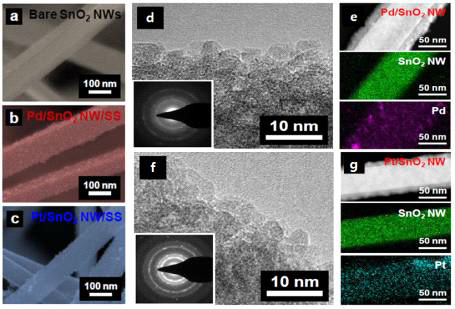 (a) SnO2 나노선과 (b) Pd 및 (c) Pt 가 담지된 SnO2 나노선, Pd/SnO2 나노선의 (d) HRTEM 이미지 및 (e) EDX 분석결과 , Pt/SnO2 나노선의 (f) HRTEM 이미지 및 (g) EDX 분석결과