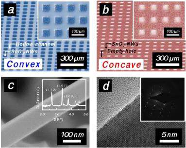 (a) 볼록한 패턴 (convex)과 (b) 오목한 패턴 (concave)을 형성하는 SnO2 나노선 어레이의 SE M 이미지 및 (c) XRD 패턴, (d) HRTEM 이미지와 SAED 분석