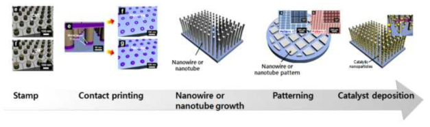 본 연구에서 제안하는 패턴화된 다차원 나노구조 촉매 설계 및 합성 연구의 모식도