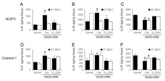 NLRP3 또는 caspase-1 넉아웃 마우스에서 DNCB/HDM에 의한 아토피 피부염 유도시 피부조직에서의 아토피 피부염 관련 사이토카인 변화 및 X-DNA의 영향