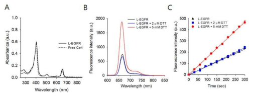 (A) L-EGFRsense의 UV/vis 흡광도. (B, C) 표적 암세포 내에 존재하는 환원제인 glutathione