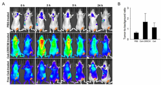 (A) NIR 형광 영상 (λex. 660 ± 10 nm, λem. 710 ± 20 nm). 위에서부터 PBS, Ce4-CRRCW, free Ce4