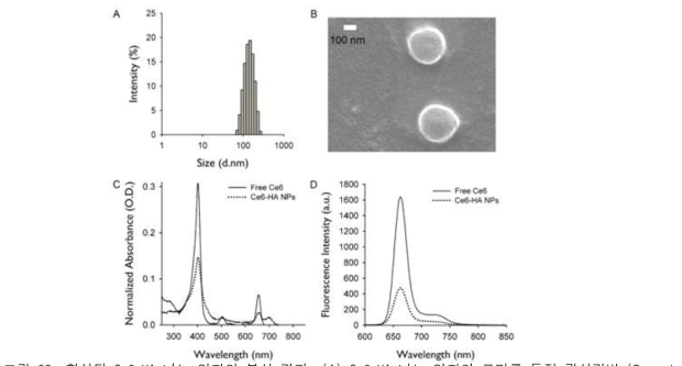 합성된 Ce6-HA 나노 입자의 분석 결과. (A) Ce6-HA 나노 입자의 크기를 동적 광산란법 (Dynamic