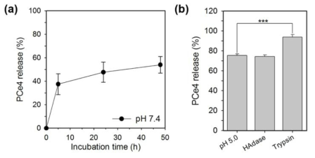 (A) 생리학적 조건에서 시간에 따른 PCe4@HANP의 약물 방출률의 변화. (B) 서로 다른 조건에서 5시