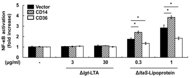 지질단백질과 LTA의 TLR2 활성에 대한 TLR2 보조수용체 영향 연구