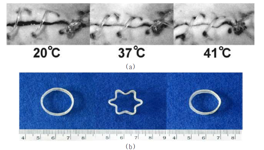 (a) Degradable shape-memory suture showing the shrinkage of the fiber in temperature increasing and (b) SMP stent