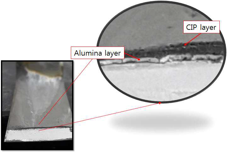 전기영동을 통해 제작된 CIP+alumina 기능경사재료