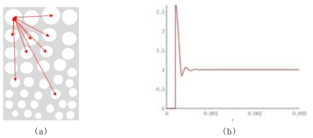 (a) particle간 상호작용 모습, (b) radial distribution function