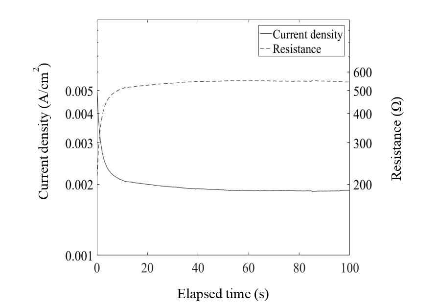 경과시간에 따른 전류밀도