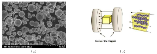 (a) SEM image of CIP of a MR fluid and (b) preparation of uniaxially ordered polymer composite under uniform magnetic field