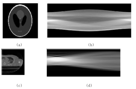 원 영상과 sinogram 영상 (a) Phantom 원본 영상 (b) Phantom 원본 영상의 sinogram (c) CT 원본 영상 (d) CT 원본 영상의 sinogram