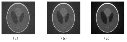 공간 도메인에서 Gaussian filter 의 분산을 변화시켜 얻은 phantom 영상 (a) 분산=0.1 (b) 분산=0.5 (c) 분산=1