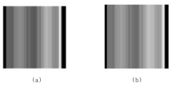 90 도에서의 pixel-driven back-projection 결과와 ray-driven back-projection (a) Pixel-driven back-projection (b) Ray-driven back-projection