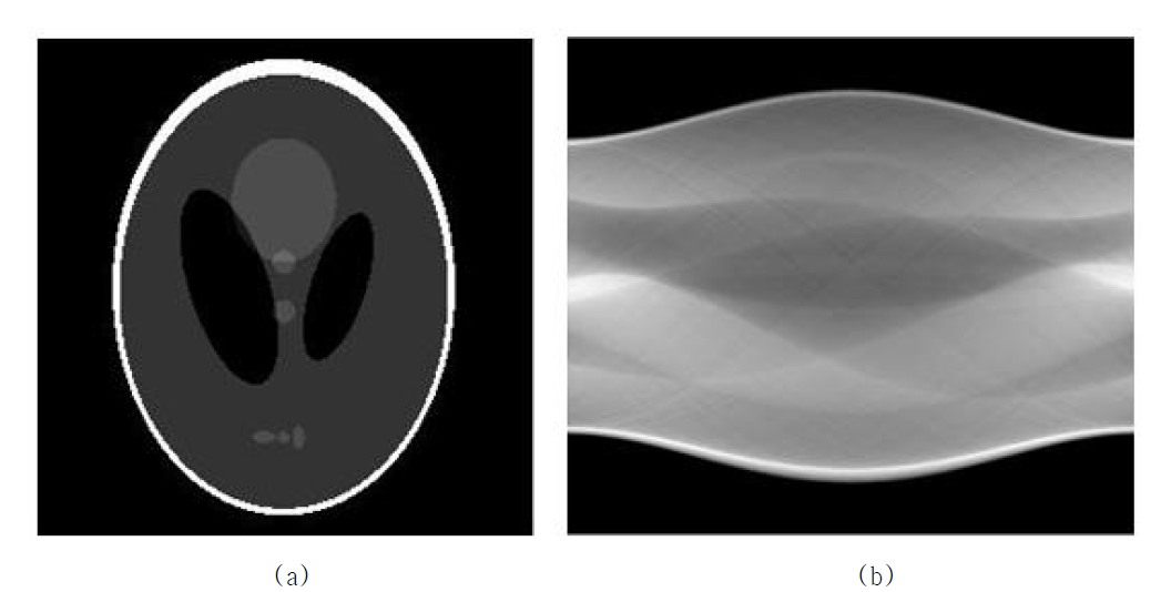 2 차원 영상과 프로젝션 결과인 sinogram (a) Shepp-Logan phantom 256×256 (b) The result of projection using proposed algorithm