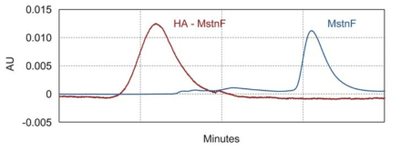 Gel permeation chromatograms of MstnF peptide (blue line) and low MW HA - MstnF conjugate (red line)