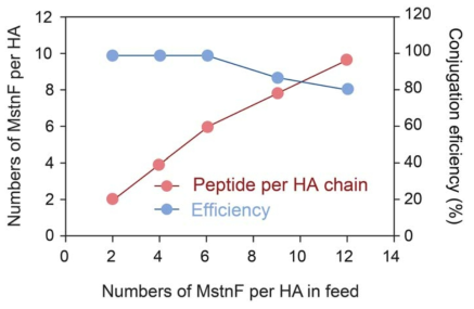 The number of MstnF peptide in HA (MW = 17 kDa) - MstnF conjugate and the corresponding bioconjugation efficiency (%)