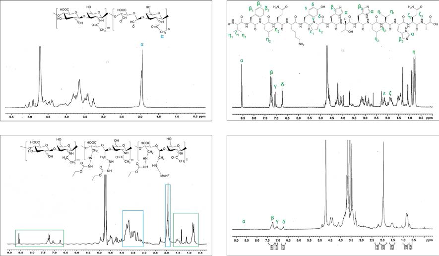 1H NMR spectra of (A) HA-ALD, (B) MstnF, and (C) HA-MstnF conjugate. (D) 1H NMR analysis of the HA-MstnF conjugates after digestion with α-chymotrypsin