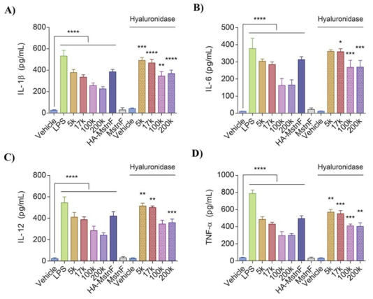 Effect of various MW HAs on the production of proinflammatory cytokines: (A) interleukin (IL)-1β, (B) IL-6, (C) IL-12, and (D) TNF-α in the culture supernatant of JAWS II cells