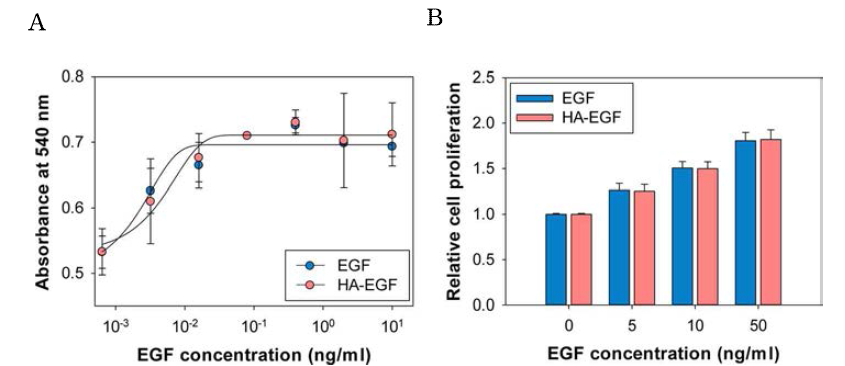 Proliferative activity of epidermal growth factor (EGF) and hyaluronate-EGF (HA-EGF) conjugate in (A) Balb/3T3 cells (n = 4) and (B) human dermal fibroblasts (n = 6)