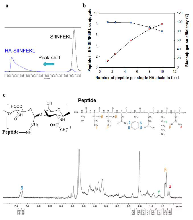 (A) GPC analysis, (B) conjugation efficiency, and (C) NMR analsysis of HA-SIINFEKL conjugate