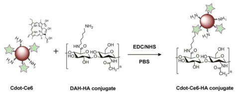 Schematic representation for the synthesis of Cdot-Ce6-HA conjugate