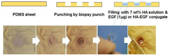 Production procedure of HA gel patch