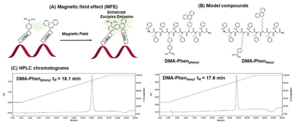 (A) Magnetic field effect (MFE)와 (B)본 연구에서 사용한 model compounds 및 (C) HPLC 크로마토그램