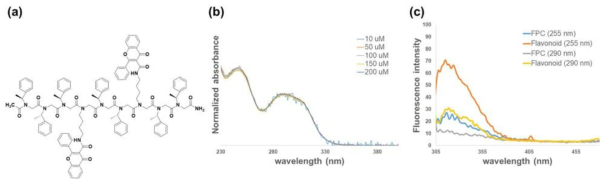 (a) 제 1세대 플라보노이드-펩토이드 공액체 (FPC) 구조 (b) FPC의 농도에 따른 UV-vis 흡광도 (c) FPC와 플라보노이드 단량체의 형광 비교