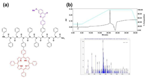 합성한 플라보노이드-포피린-펩토이드 공액체의 구조와 HPLC, ESI-MS 분석 결과